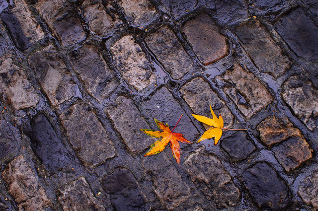 Брусчатка Брусчатка